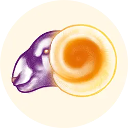 Aries zodiac icon